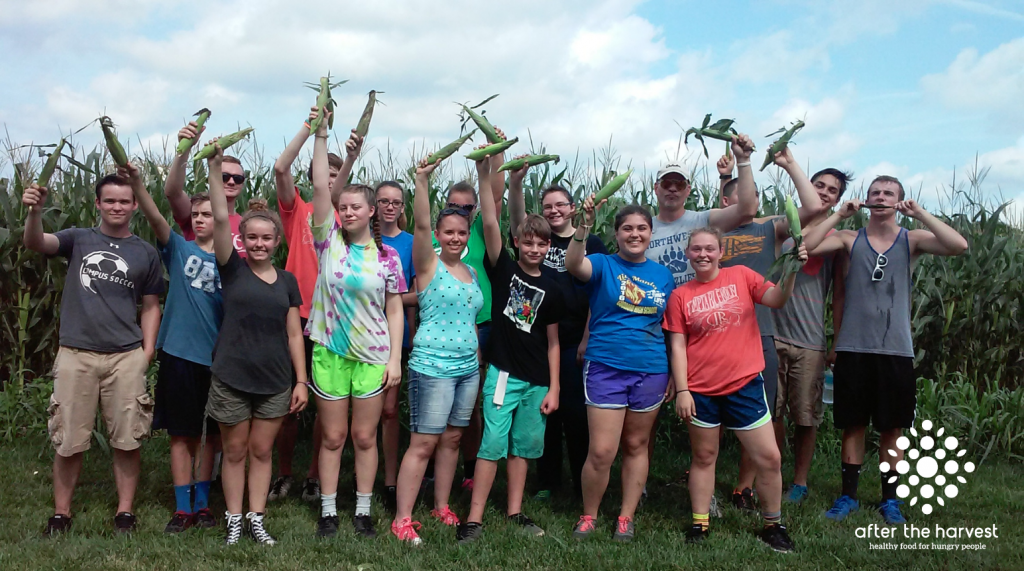 Amaizing Sweet Corn Gleanathon 5