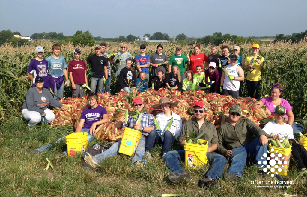 Amaizing Sweet Corn Gleanathon