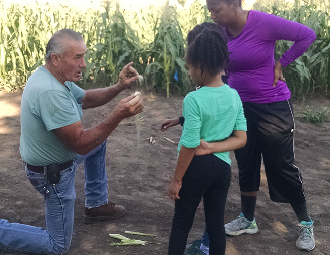 Man Giving a Corn Lesson