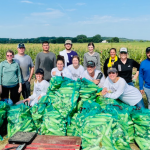 2022 Amaizing Sweet Corn Glean-A-Thon & Festival