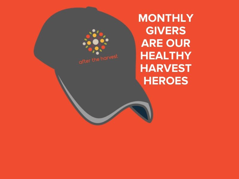 Healthy Harvest Hero hat