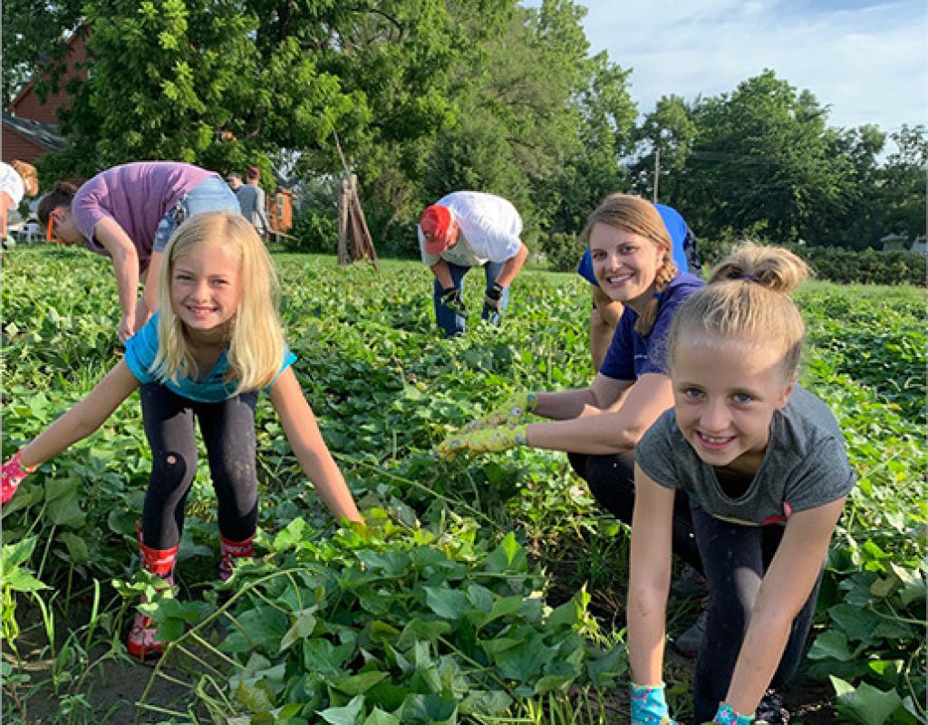 Kids Gleaning in the Field with there Parents