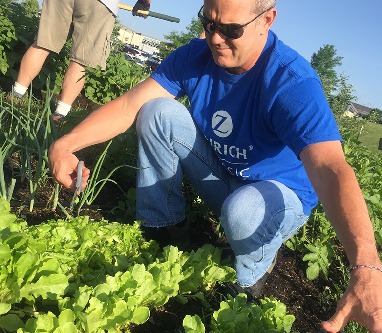 Man in blue shirt knelt down gleaning in a field