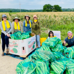 2022 Amaizing Sweet Corn Glean-A-Thon & Festival